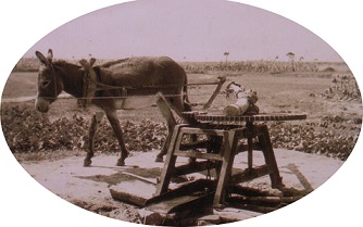 威廉希尔中文网站