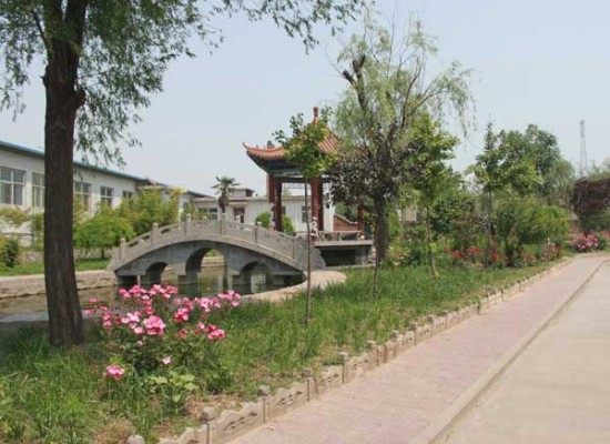 威廉希尔中文网站